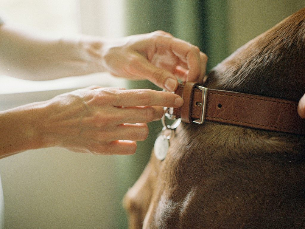Caregivers